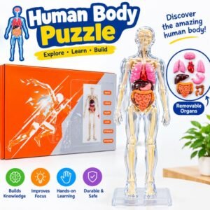 Human Body Puzzle – খেলতে খেলতেই শরীর সম্পর্কে শেখা! 🧠